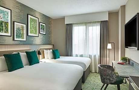 Standard Double and Single Room