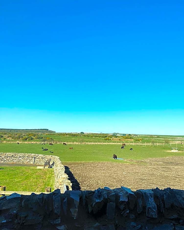 New Town Hall Bunkhouse