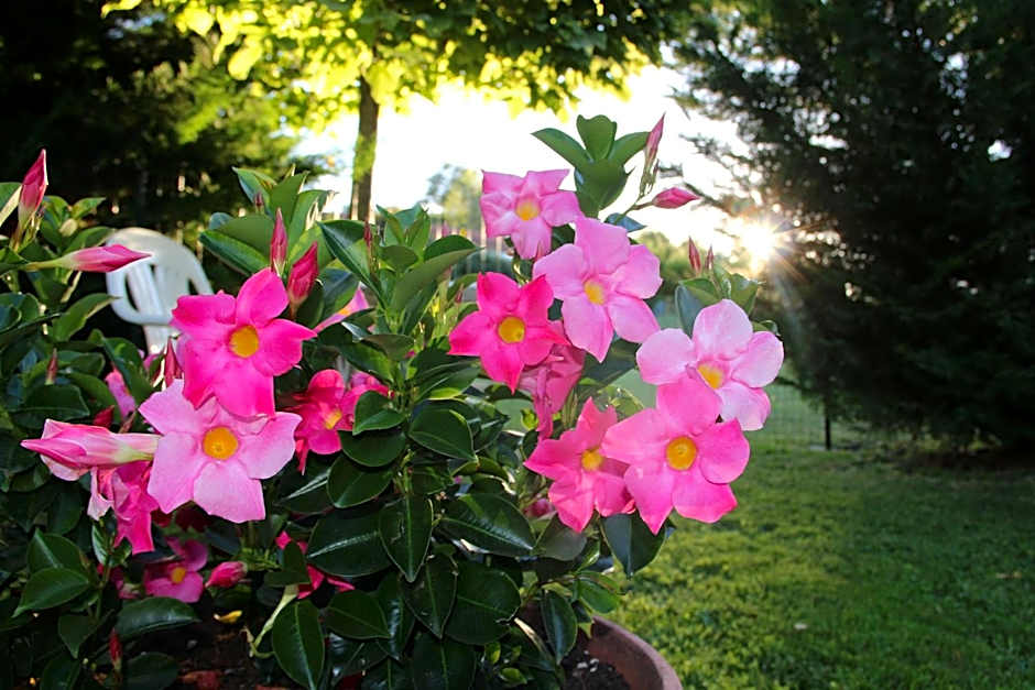 Chambres d'hôtes les Etoiles