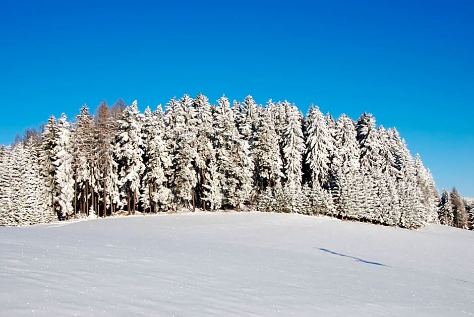 Joglland Hotel Prettenhofer