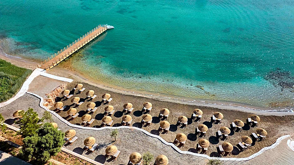 Anda Barut Collection