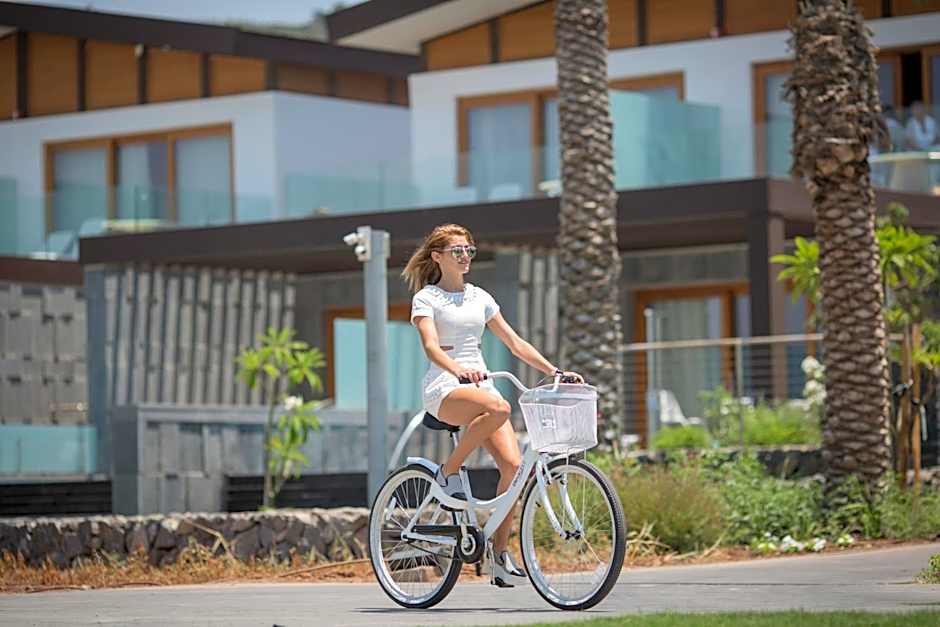 Setai Sea Of Galilee