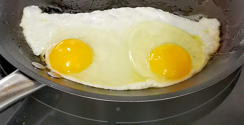 Hôtel Rose des Vents