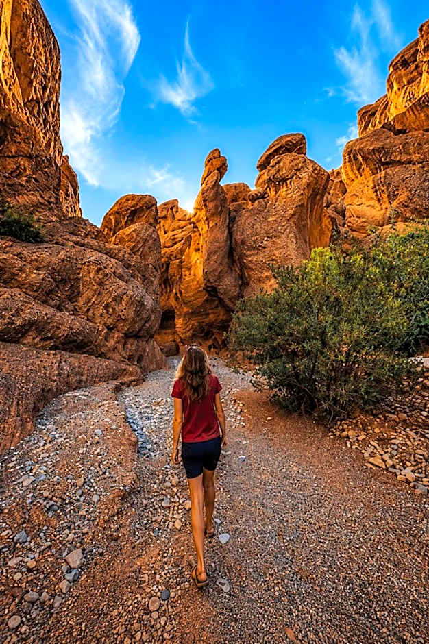 Auberge La Fibule Du Dades