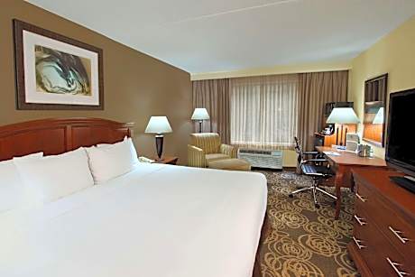 1 King Bed-Nonsmoking