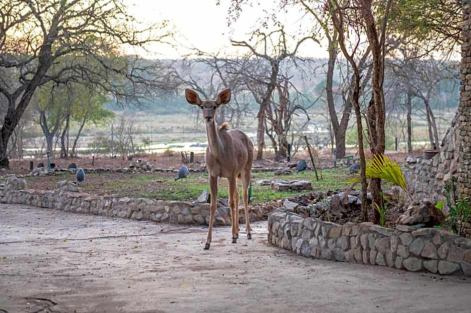Foxy Crocodile Bush Lodge & Kruger Safari's - No Loadshedding