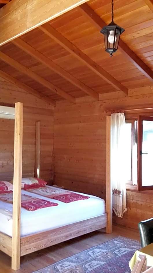 Sakin Vadi Winehouse