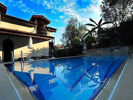 Hotel Villa Daffodil