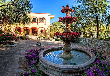 Loma de Guadalupe Alamos Sonora