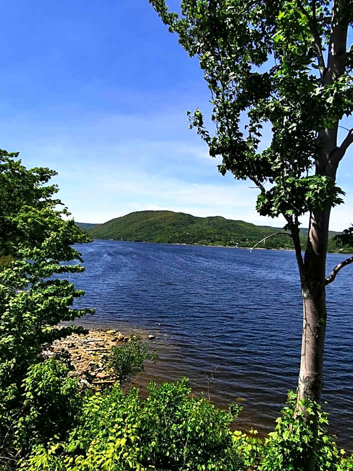 Knotty Pine Ocean Front Suite - Adults Only