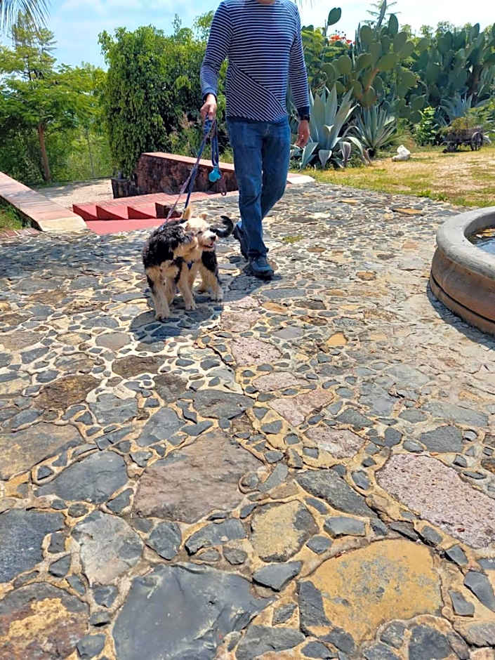 Wellness Center El Secreto