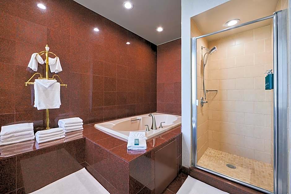 Hotel Fera Anaheim, a DoubleTree by Hilton