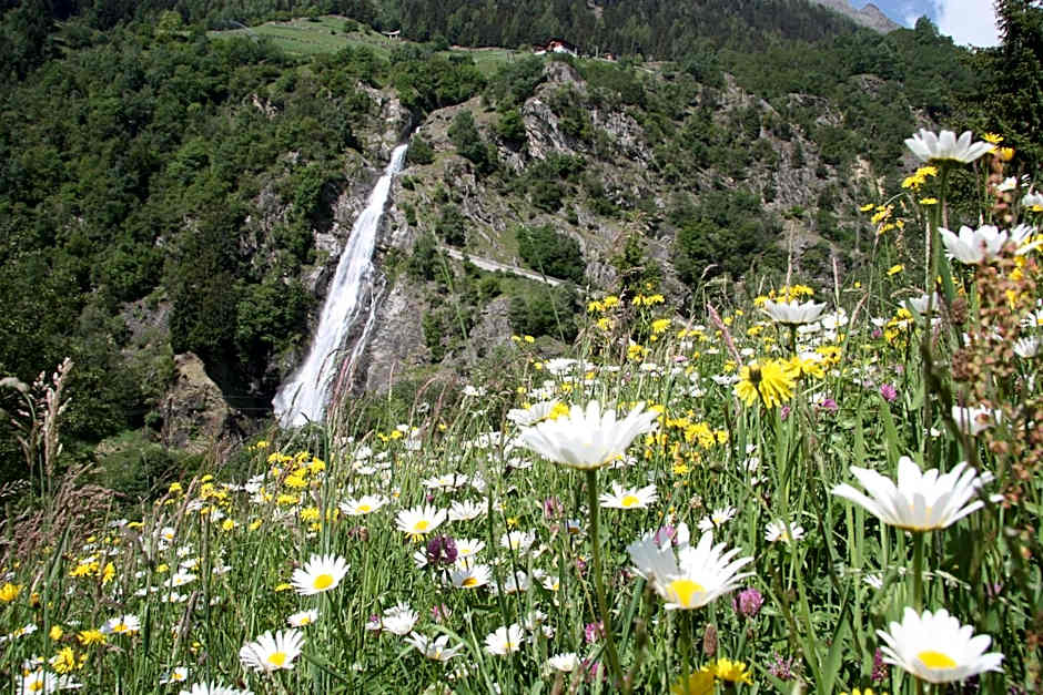 Residence Sonnenburger - Biobauernhof - Azienda agricola biologica