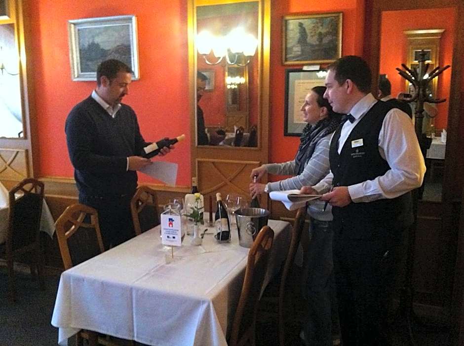 Hotel Concertino Zlatá Husa