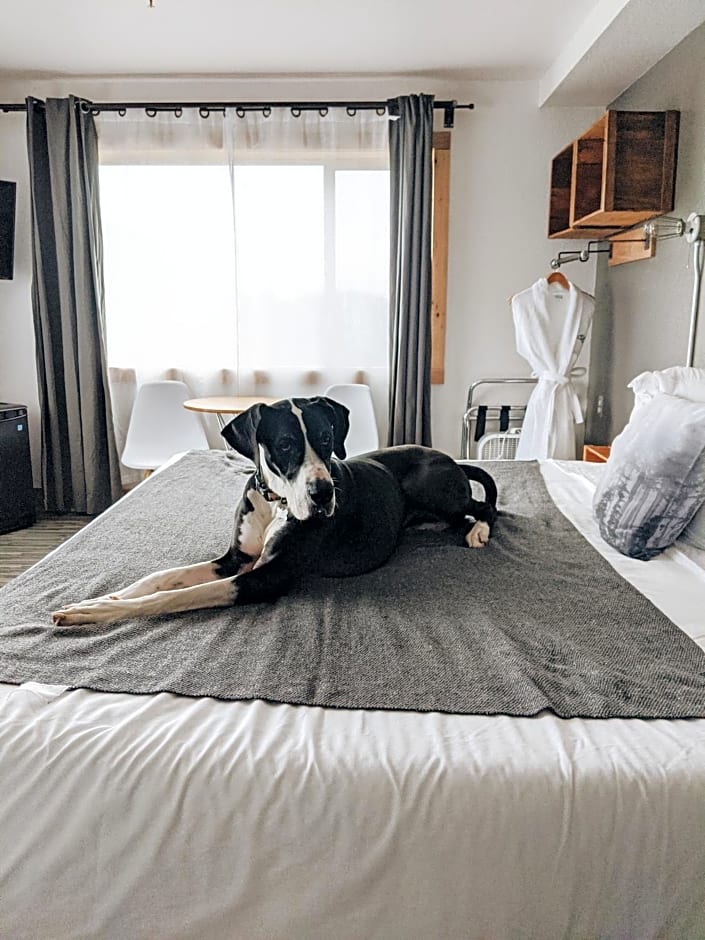 Adrift Hotel