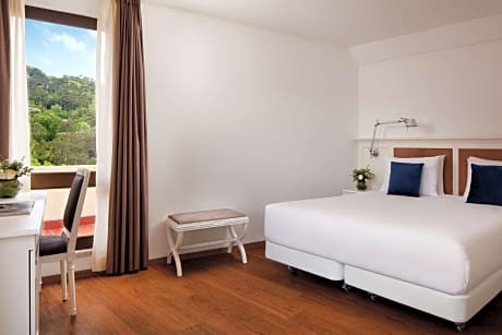 Superior Double or Twin Room with Valley View with Extra Bed (2 Adults + 1 Child)