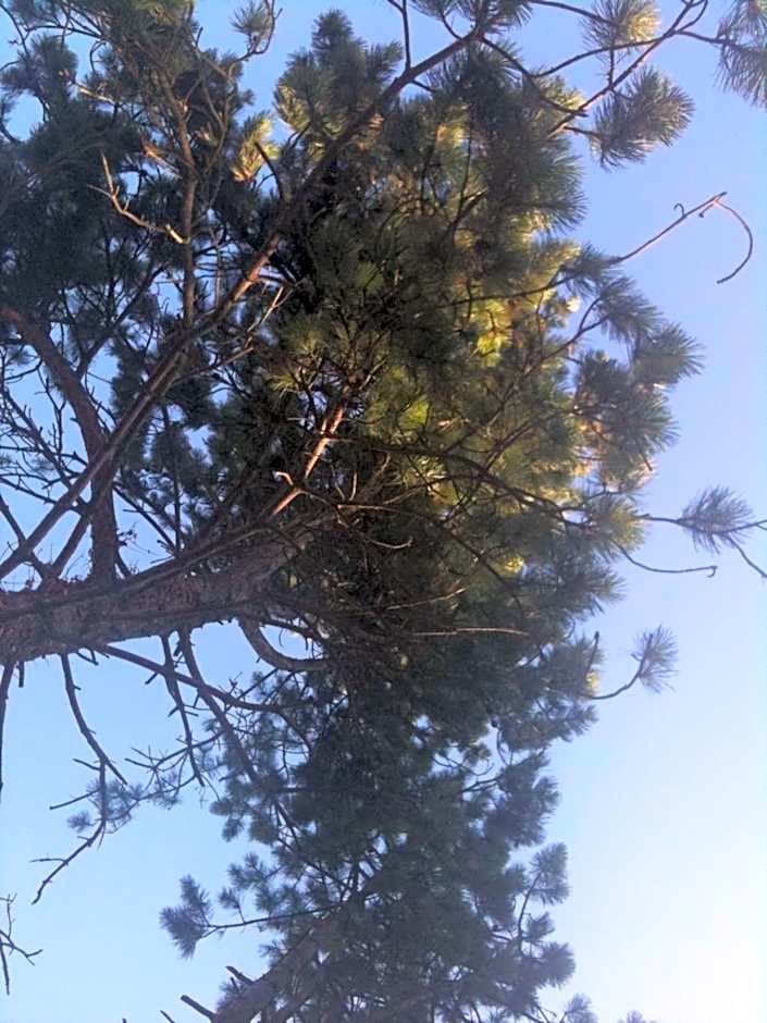 Greenfield Chambres d'Hôtes