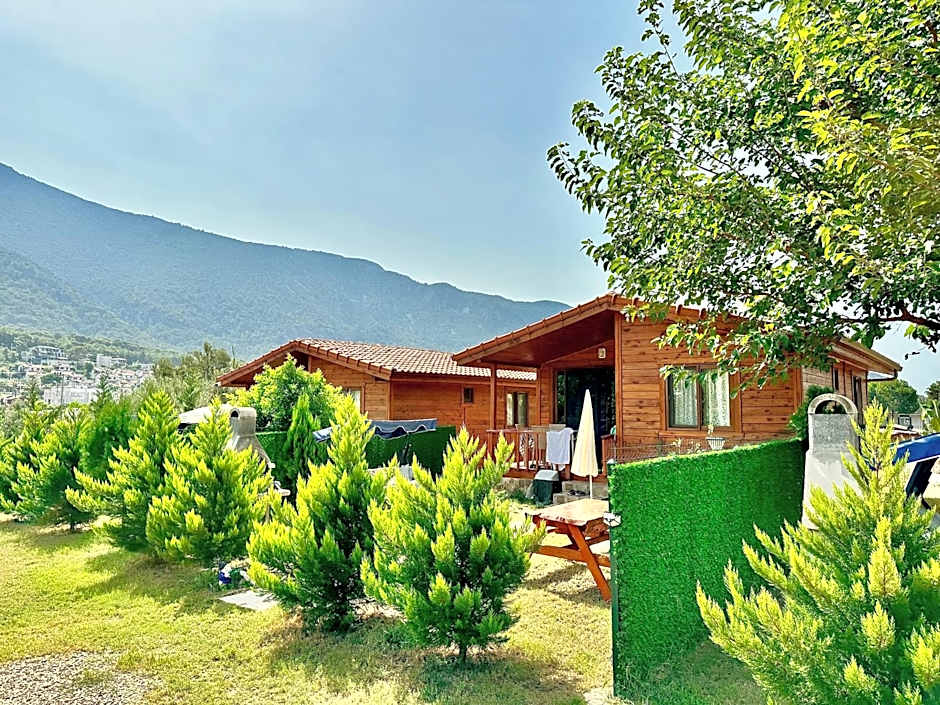 Hurmalik Aparts & Bungalows - Family Bungalows - Large Garden Bungalow with Barbecue