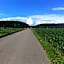 Hotel Landgasthof Hirschen