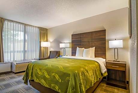 Quality Inn Suwanee I-85