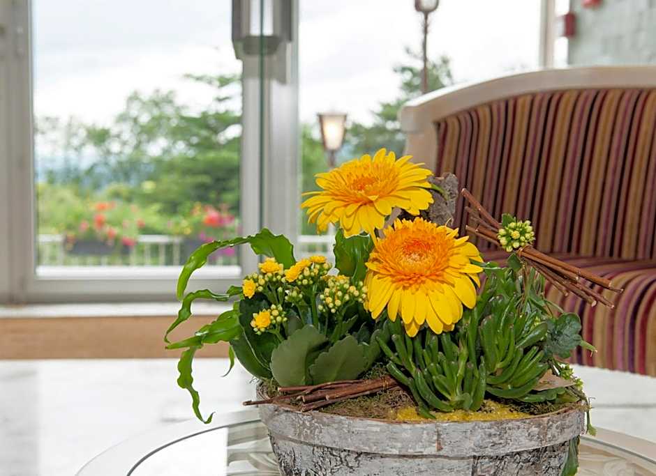 Alexain Hotel Restaurant & Wellness - Colmar Ouest