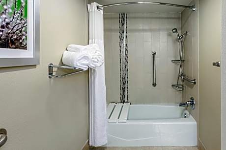 1 King Bed Suite Comm Accessible Tub