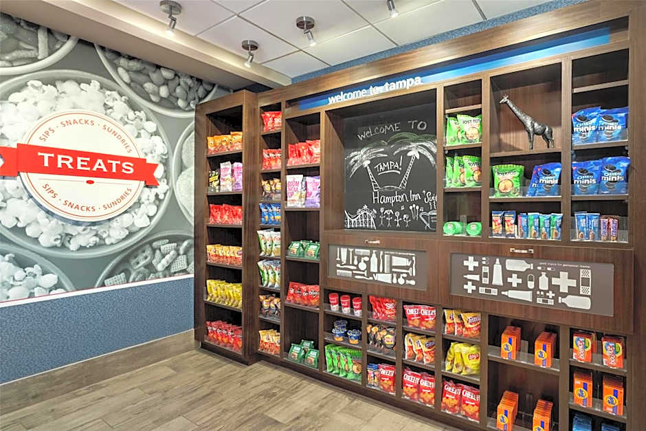Hampton Inn - Suites by Hilton Tampa Busch Gardens Area