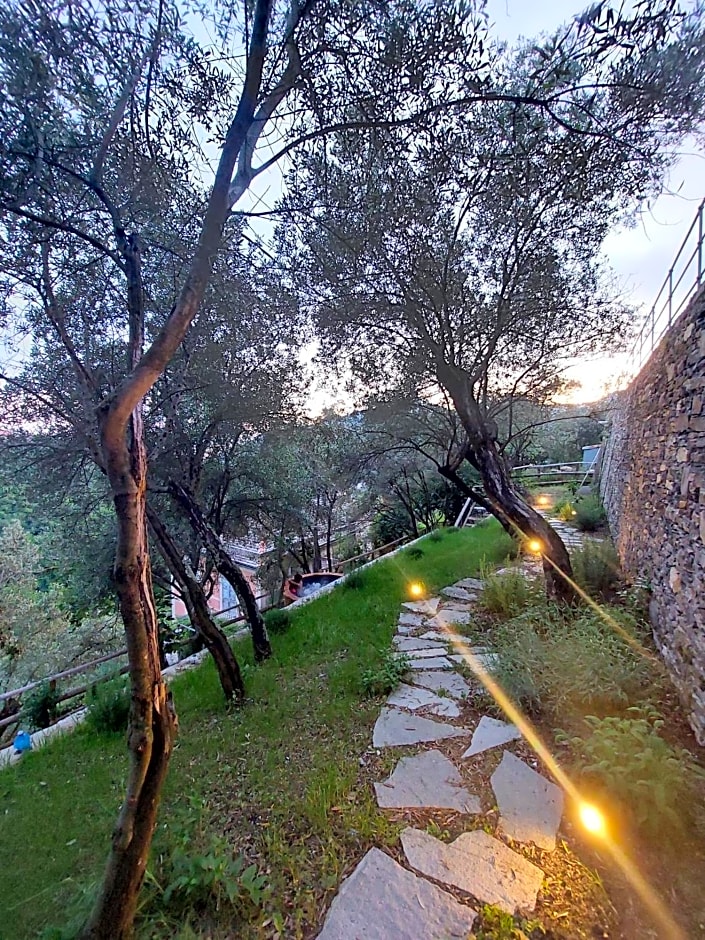 Il Giardino di Fe