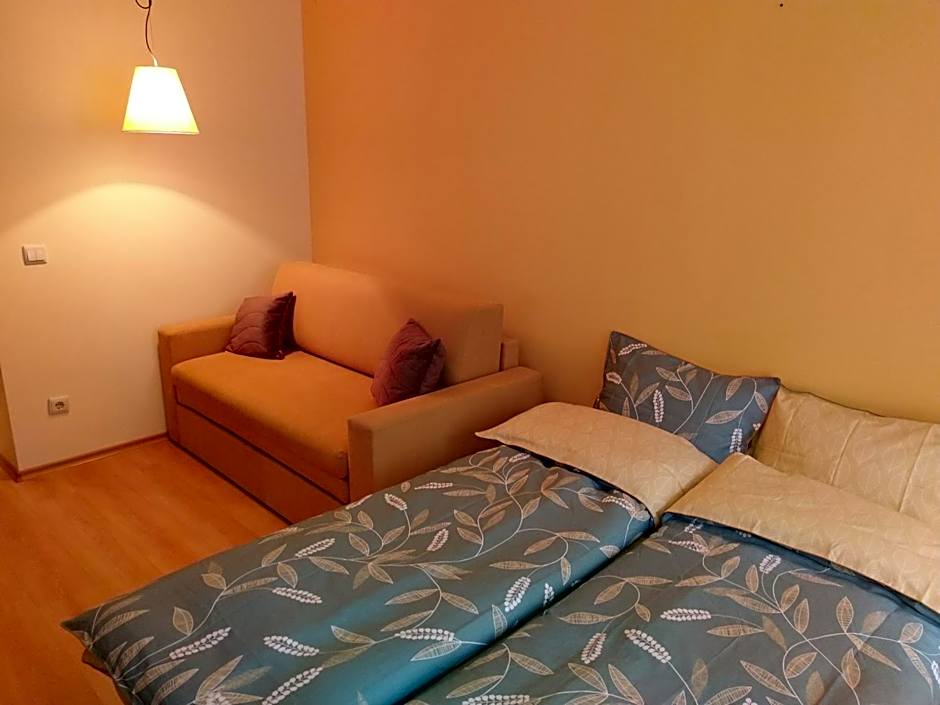 Studio Villa Park 207