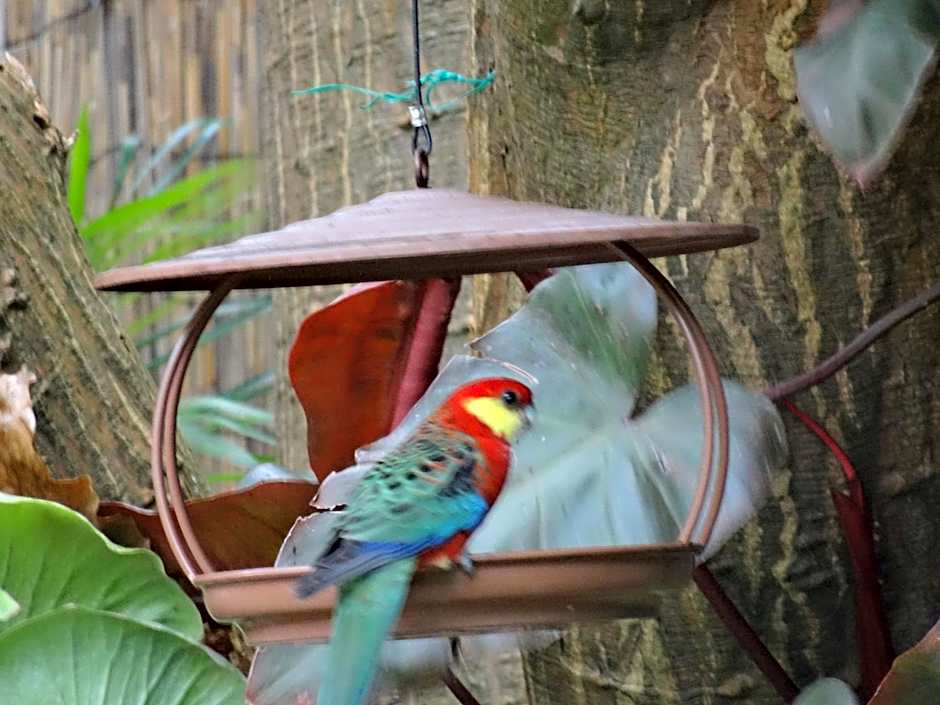 Edge Of The Forest Motel