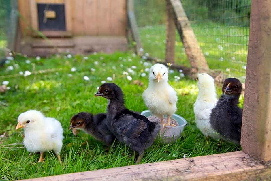 Bovisand Lodge Holiday Park, Beachside Location & Indoor Heated Pool