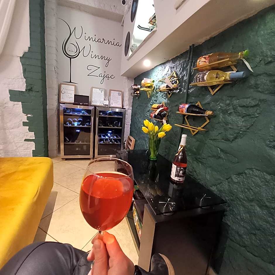 Harmont Montis- dawna Zającówka- IDEALNA lokalizacja - leśna enklawa w centrum miasta! Sauna, masaże, zabiegi spa!