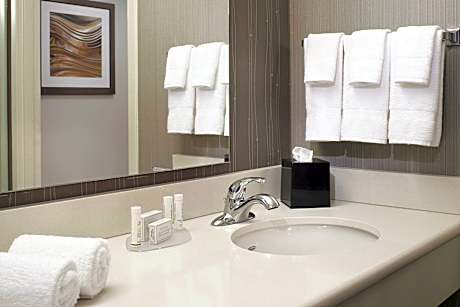 Suite, 1 Bedroom (1 King Bed and 1 Double Sofa Bed)