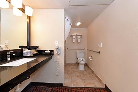 accessible - 1 king, mobility accessible, roll in shower, microwave and mini-refrigerator, non-smoking, full breakfast