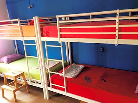 Bed in 8-Bed Mixed Dormitory Room