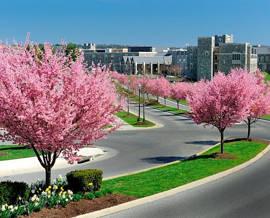 The Inn at Virginia Tech - On Campus