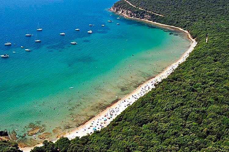 Giardino dei Sugheri