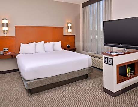 King Room with Sofa Bed