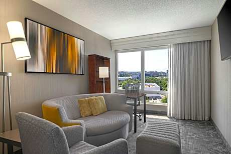 One-Bedroom King Suite with Sofa Bed