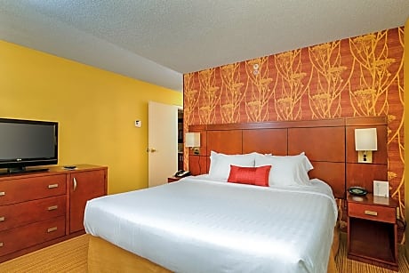 Suite, 1 King, Sofa bed