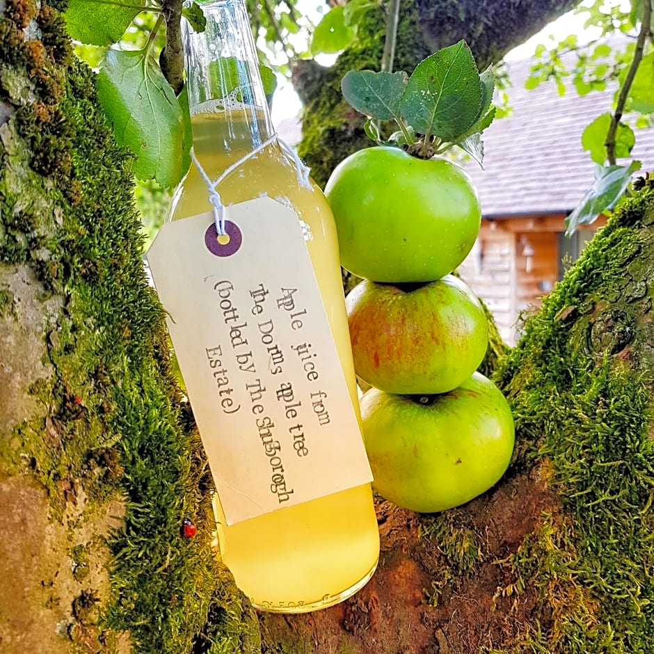 The Dorm Bed and Breakfast