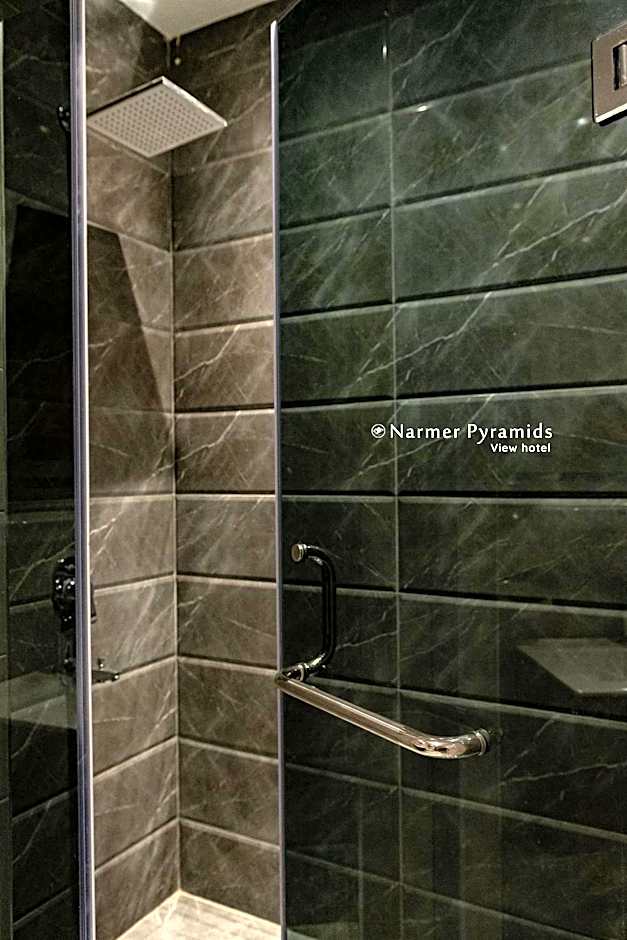 Narmer Pyramids View