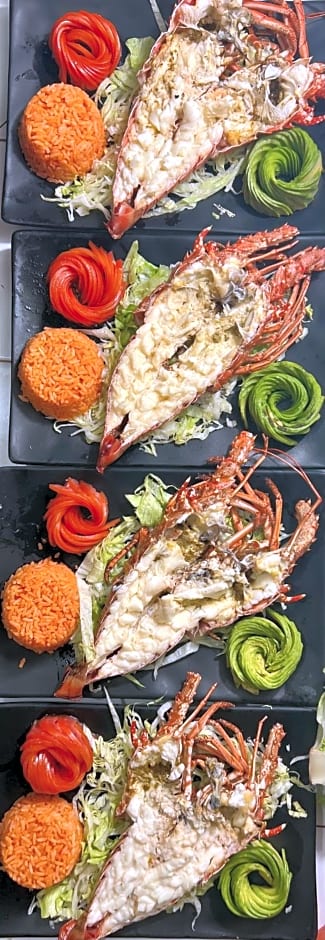 Hotel and Beach Club Escape Holbox