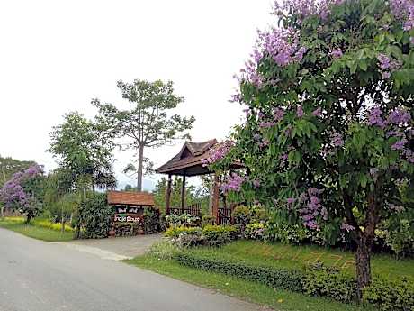 Indie House @ Maerim