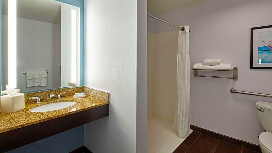 Hilton Garden Inn Merrillville