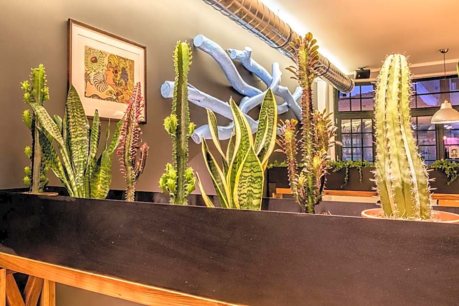 Nice Way Porto Hostel