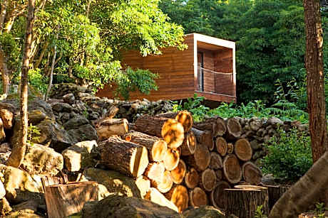 Junior Suite with Ocean View