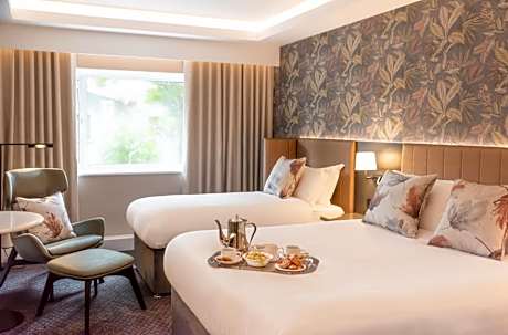 Signature Double & Single Room