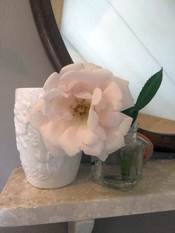 Bed & Breakfast Yerseke