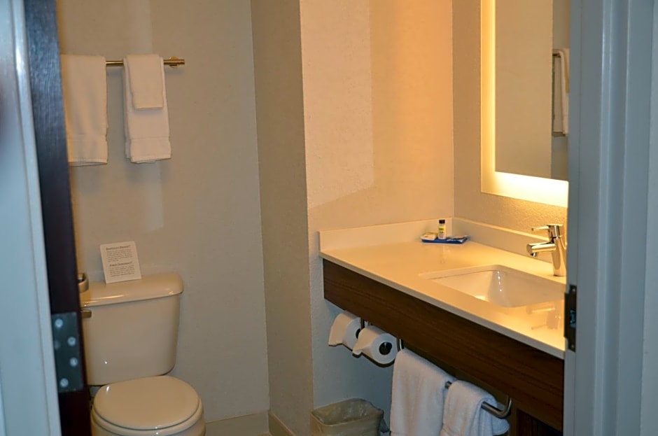 Holiday Inn Express Hotel & Suites Rochester By IHG